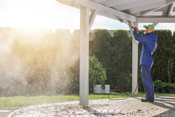 Best Building Exterior Washing  in Lemon Hill, CA