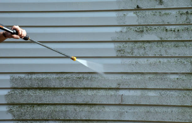 Best Sidewalk and Walkway Cleaning  in Lemon Hill, CA