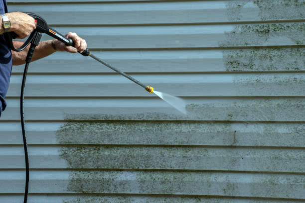 Best Fence Cleaning  in Lemon Hill, CA