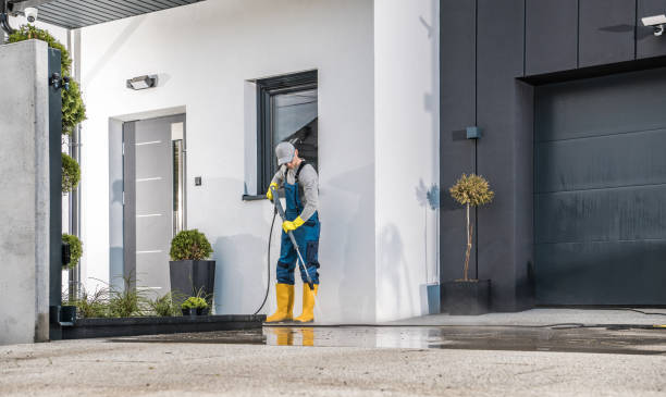 Best Fleet Vehicle Washing  in Lemon Hill, CA